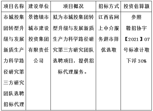 市城投集團轉型升級與發(fā)展新質生產(chǎn)力科學路徑研究第三方研究團隊選聘招標代理計劃公告